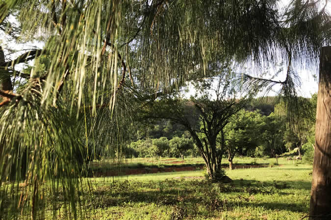 Caravan and camp sites Mpumalanga