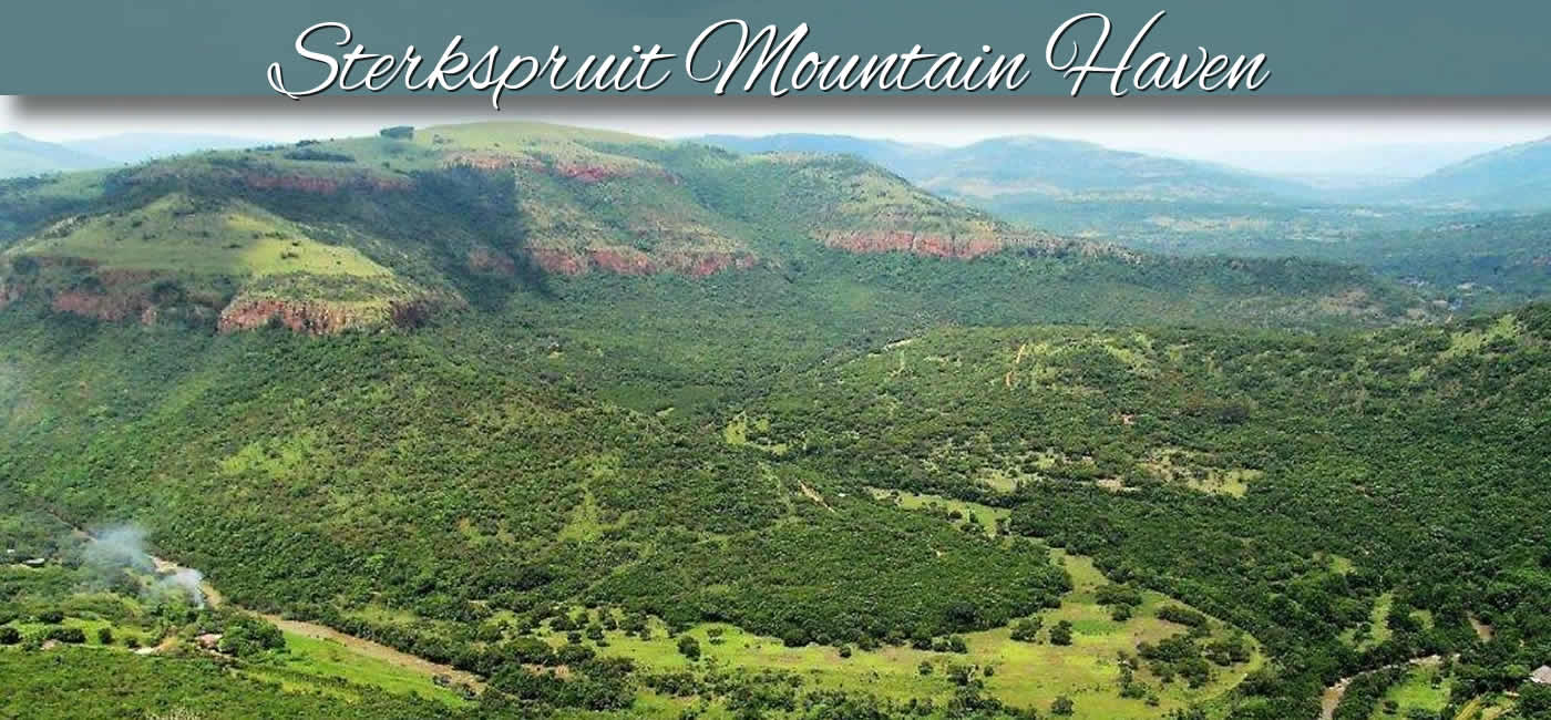 Mpumalanga Investment Opportunities